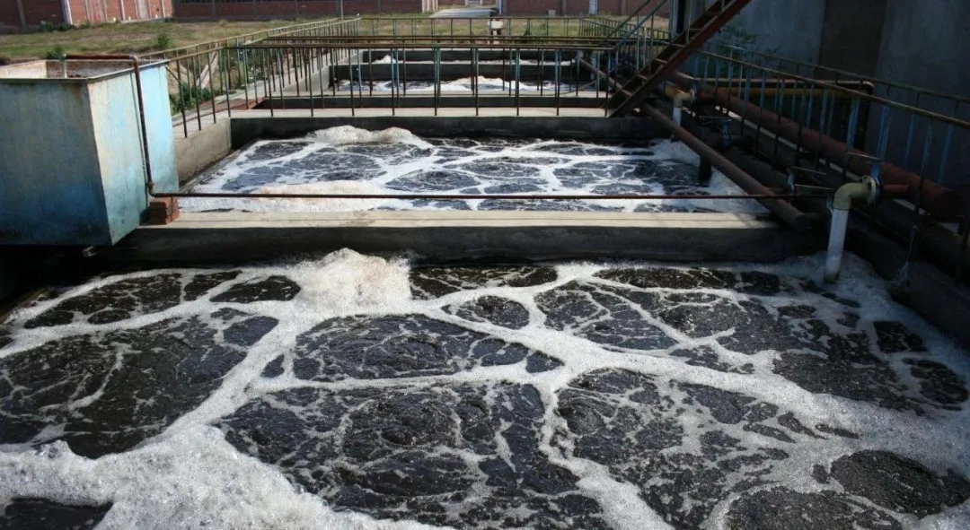 住建部：如何應對新冠病毒從馬桶到水環境的潛在傳輸途徑？