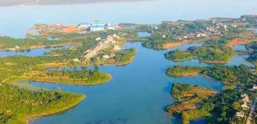 不斷加速的淘汰賽中，泵管閥“后浪們”為活下去而戰！