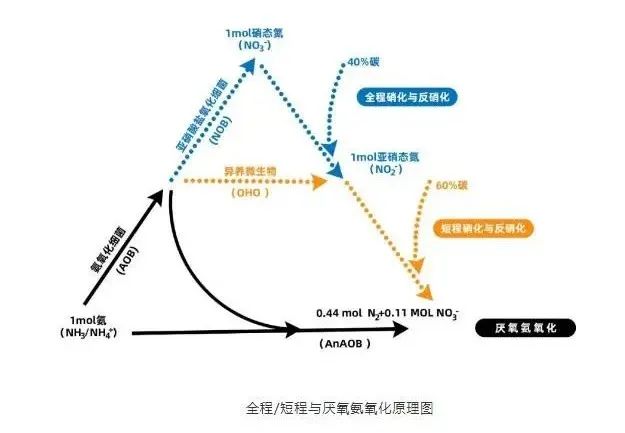面對低濃度氨氮工業廢水束手無策？這幾種方法可以解決-